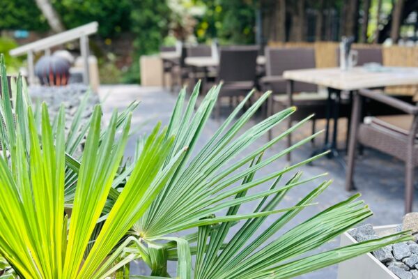 WhatsApp Image 2025-08-13 at 15.04.45 (4)